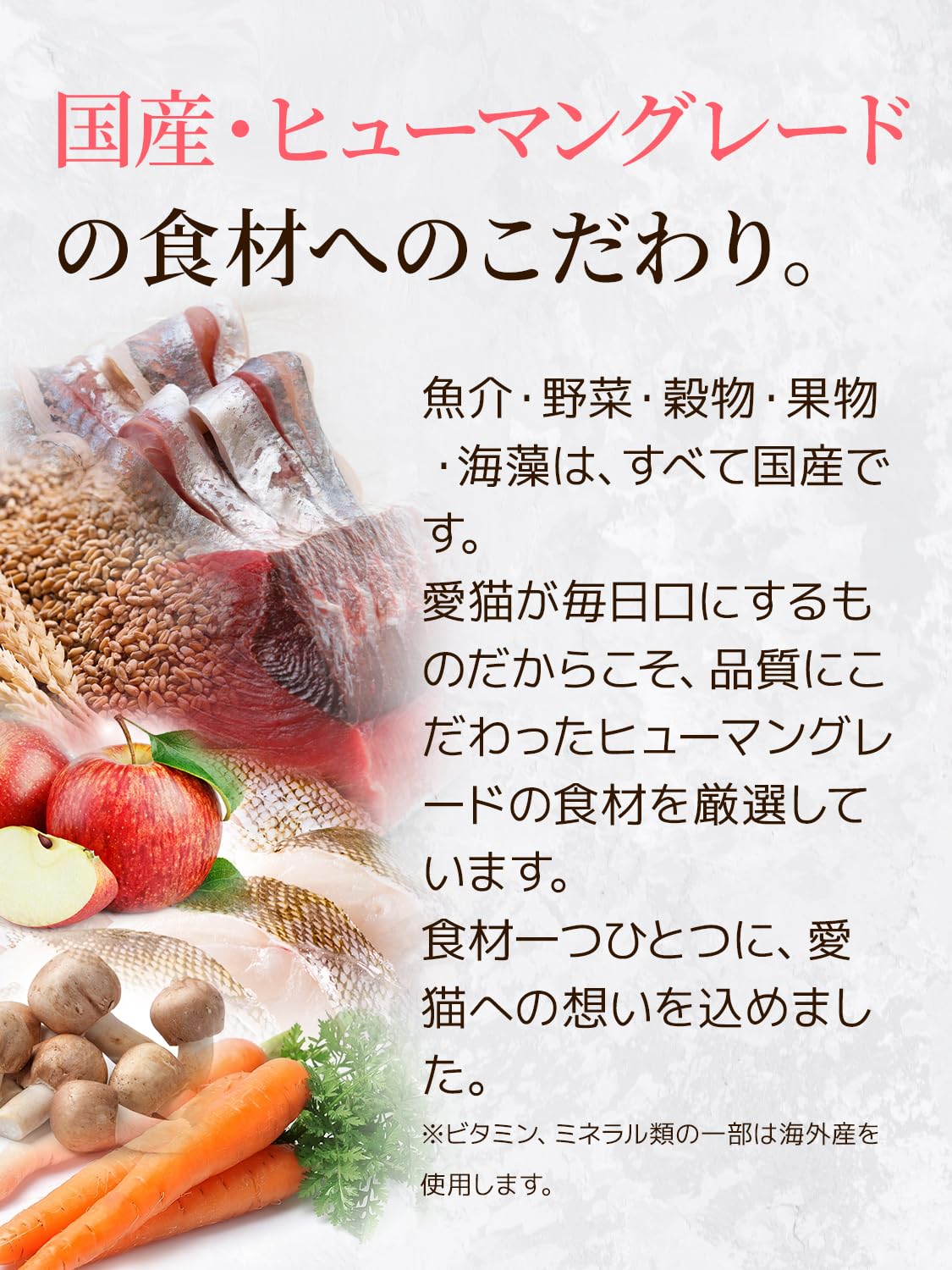 毎日美食 キャットフード ドライ 無添加 国産 グルテンフリー Amazon | 毎日美食 キャットフード 国産 無添加 成猫用総合栄養食 小麦